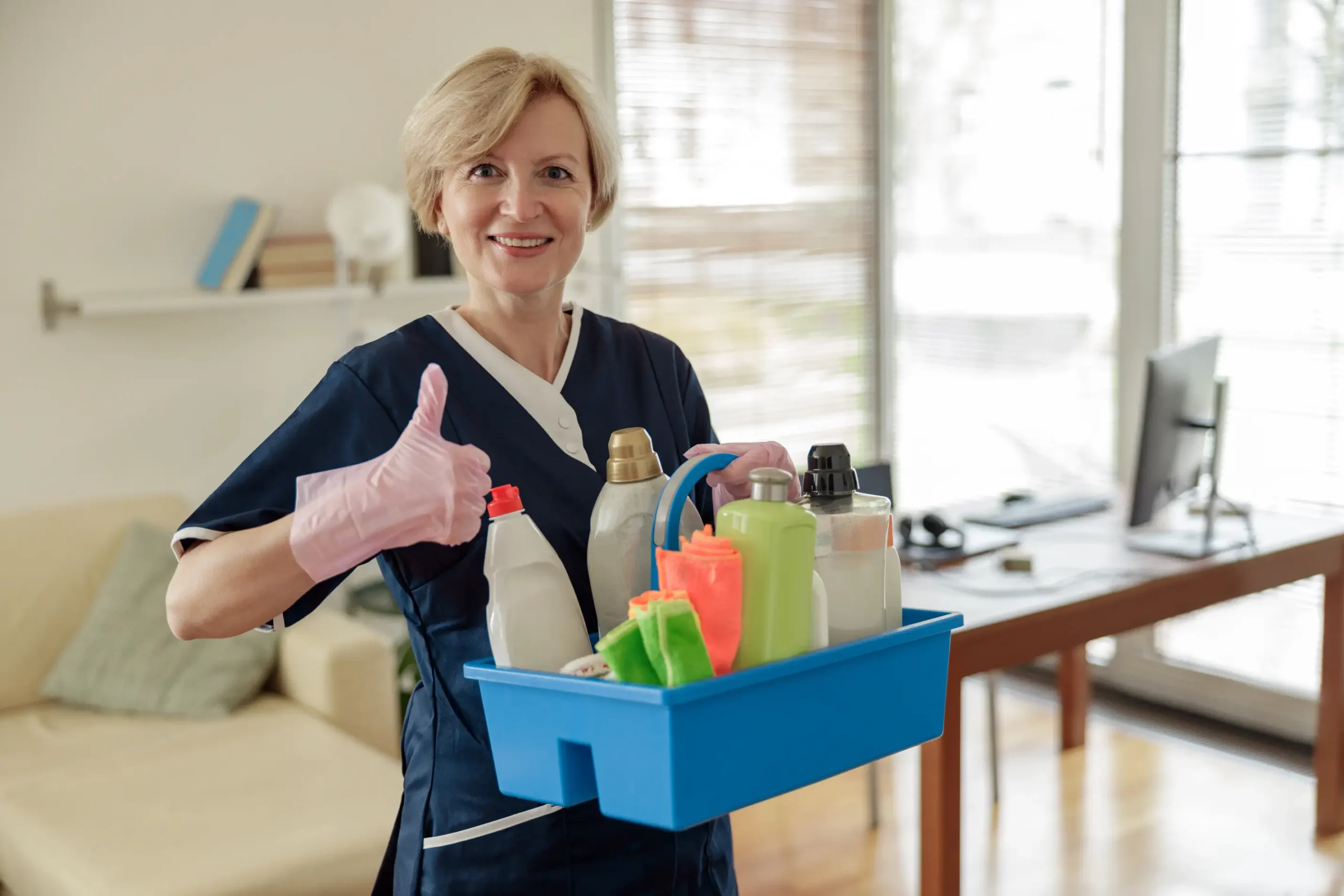 Professional Maid